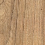 ВЯЗ ШВЕЙЦАРСКИЙ