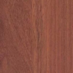 Орех Итальянсий